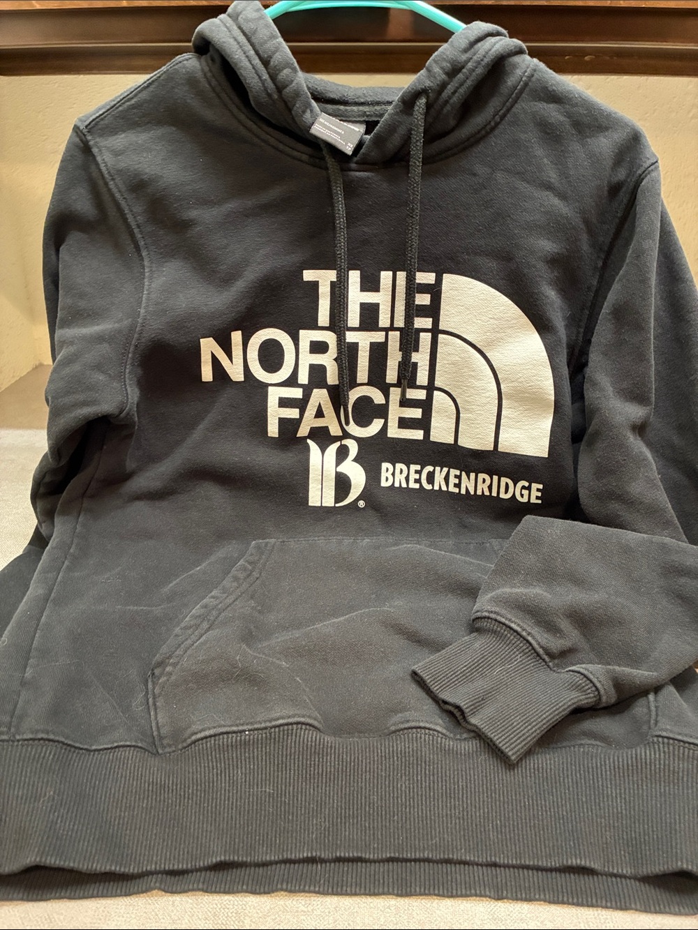 The North Face Men's Black Breckenridge Logo Crewneck Hoodie